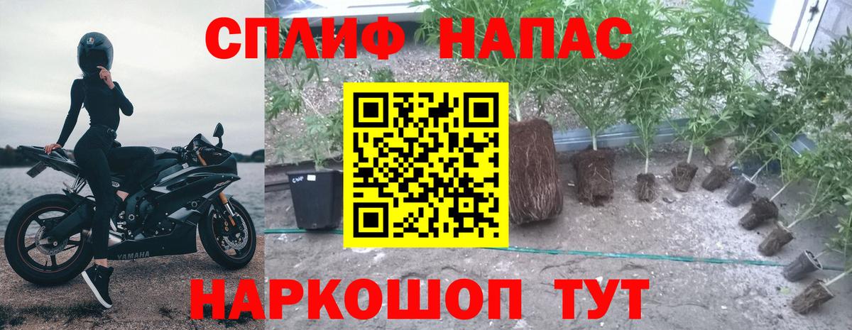 Канабис конопля  Вход с VPN  Бошки марихуана семена  Черкесск  Бошки марихуана план  Бошки Шишки AK-47 